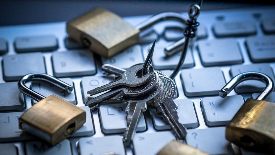    Автор фото: vostock-photo