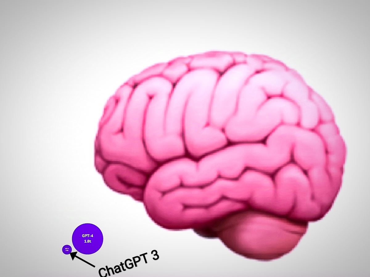 Наглядное сравнение синопсов мозга и нейросети.