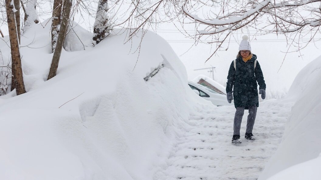    Sergey Elagin/Business Online/Globallookpress