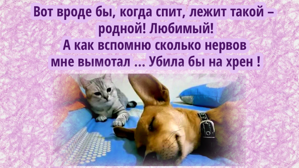 Картинку сделала сама