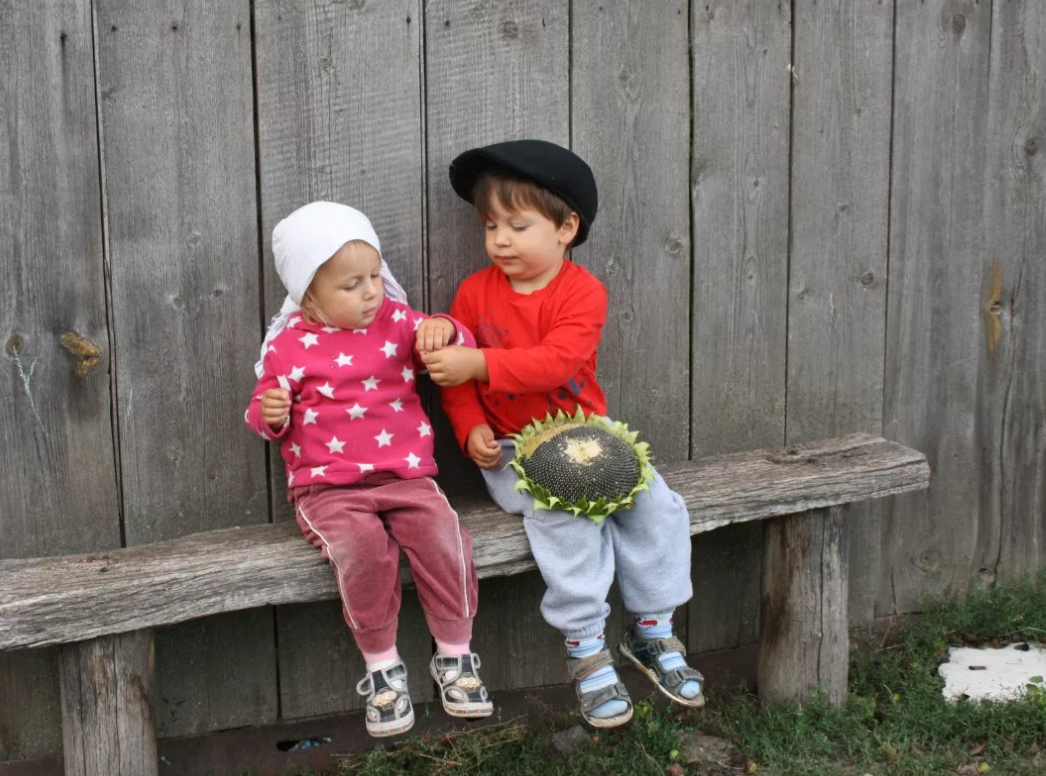 Яндекс картинки