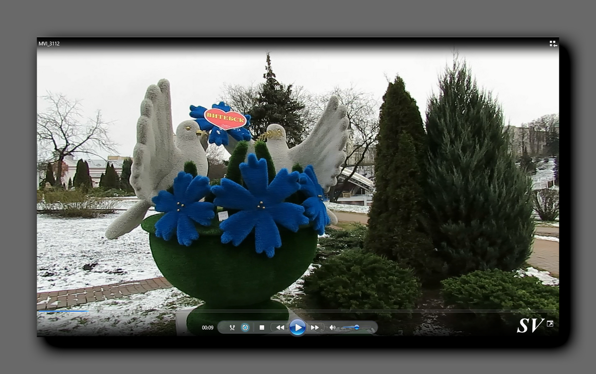 Вазу, из которой вылетают два голубя, установили в прошлом году. Стоп-кадр из ролика, который я снимала вчера - 15.01.2025