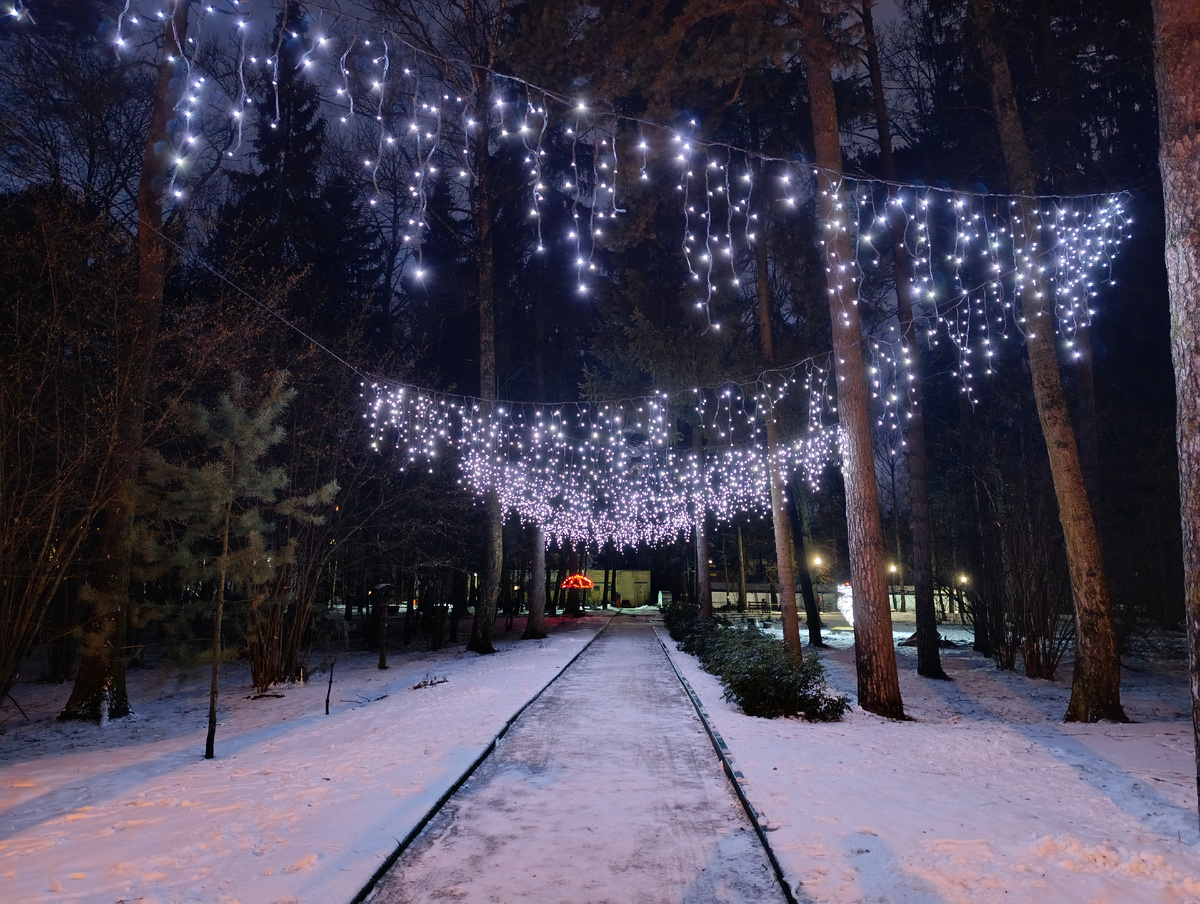 В Городском парке