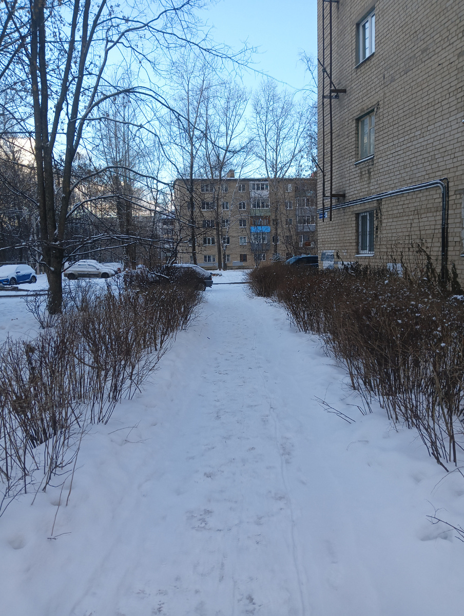 Улицы Костромы