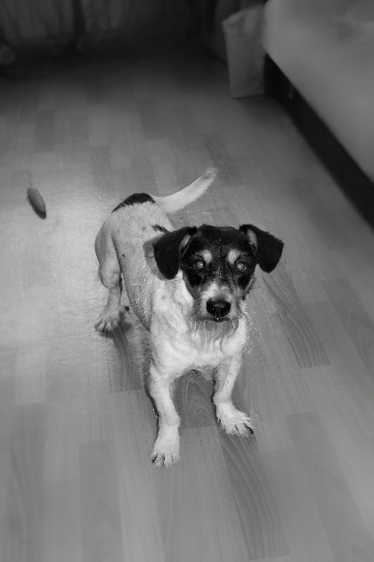 Фото автора рассказа