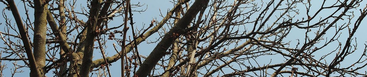    Фото: Сергей Егоров