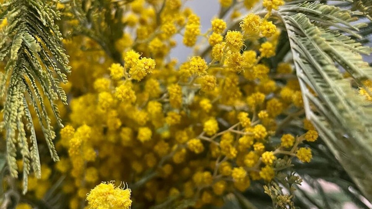    Фото: телеканал «Краснодар»