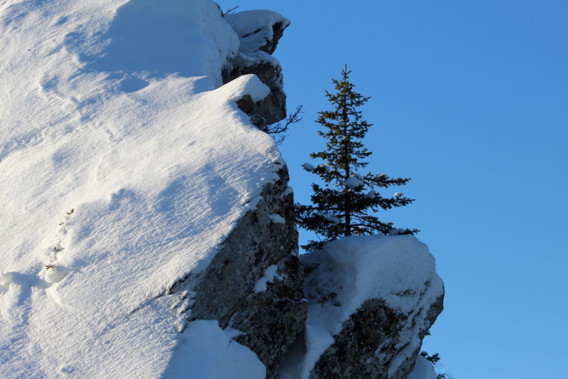    Фото: Царьград/Санкт-Петербург