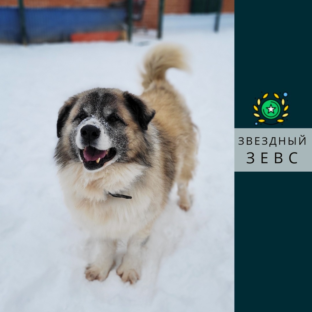 Зевс ждет твоего звонка.