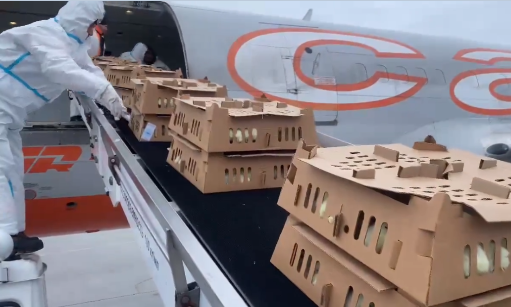 Фото: скриншот с видео из паблика Романа Василевского в социальной сети ВКонтакте