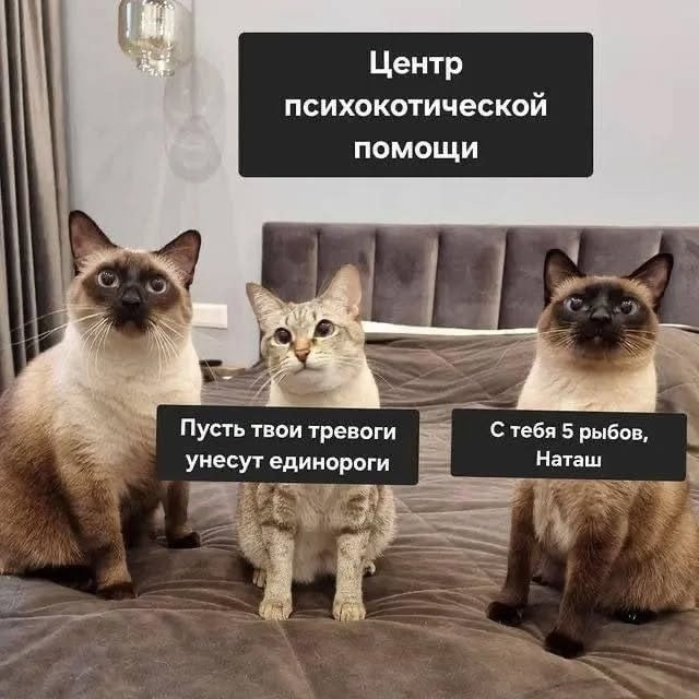 Мем из Сети.