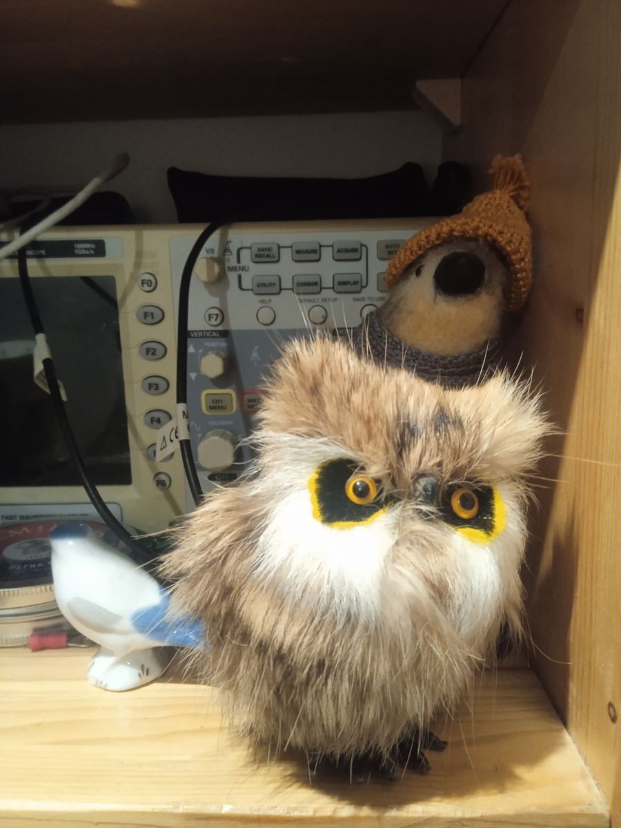 Чучхе и Воробей. Фото автора.