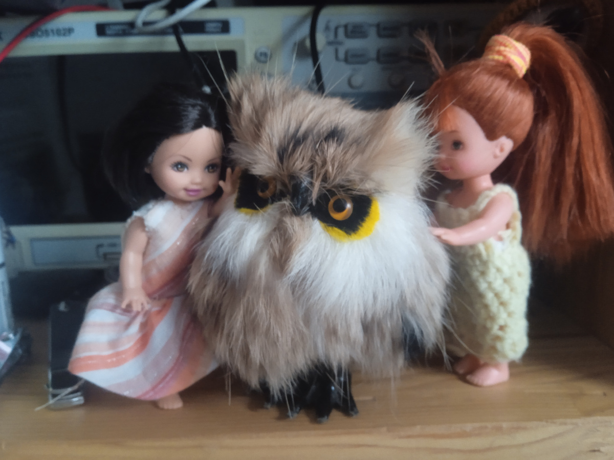 Чучхе получает внимание. Фото автора.