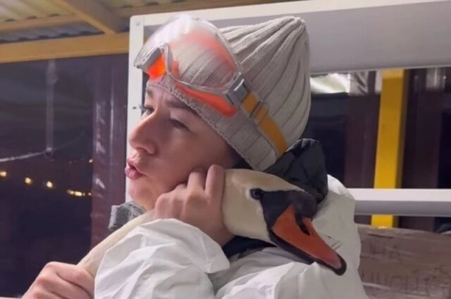    Мечта всей жизни исполнилась. Фото: кадр видео