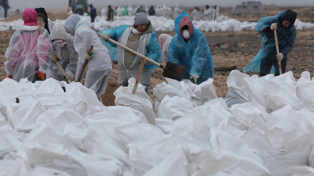    Belkin Alexey/news.ru/Globallookpress