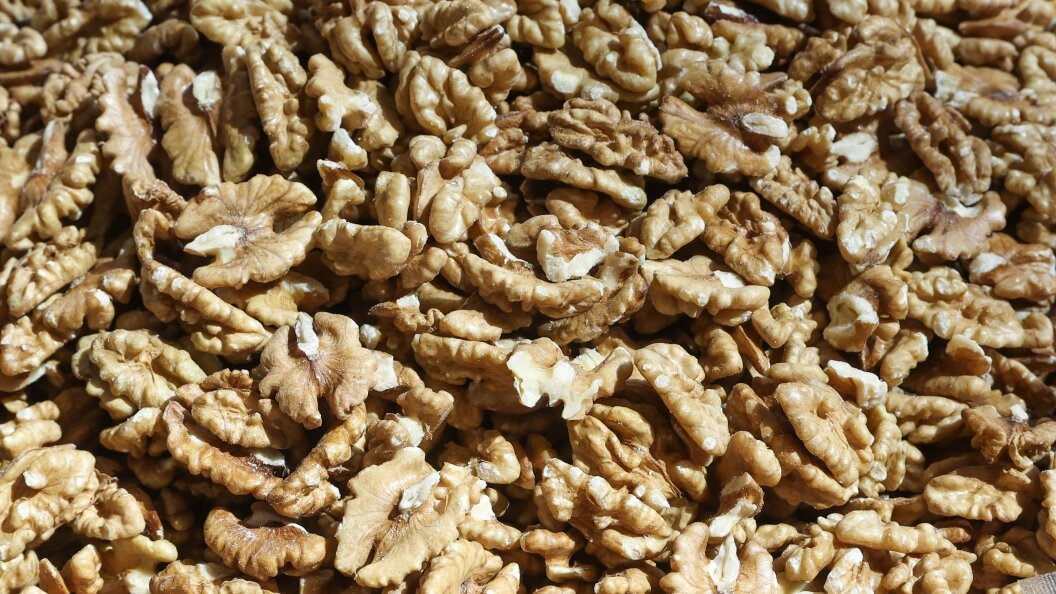    Фото: Petrov Sergey/Globallookpress