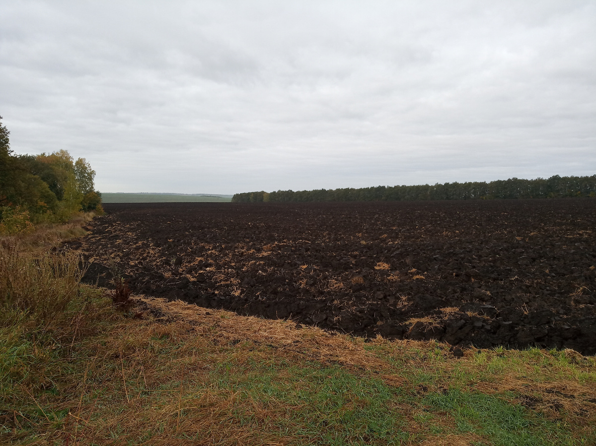 Плодородная земля, чернозем Тульской области