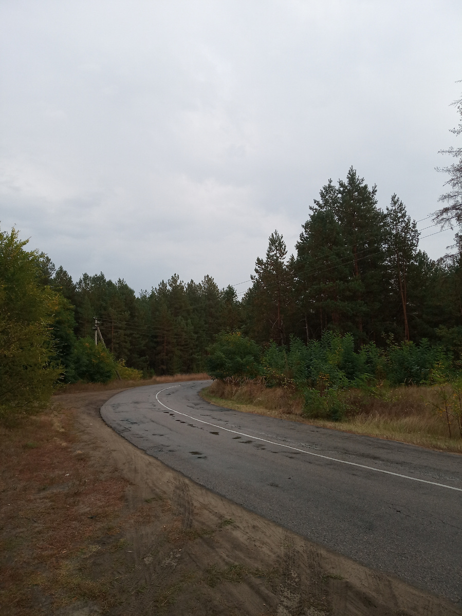 Воронежская область. Дорога на юг.