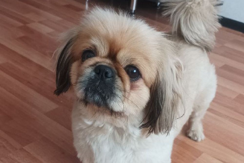    Гульнара Хусаинова