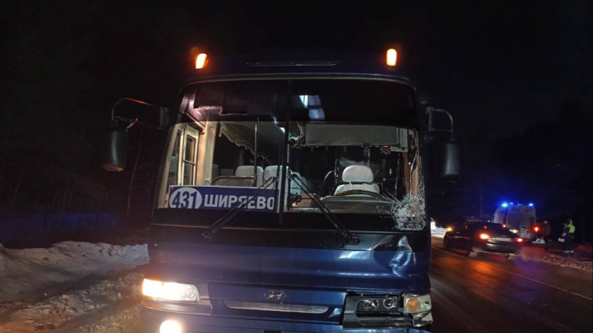    Фото: Telegram/Госавтоинспекция Иркутска/gibdd_138; 5-tv.ru