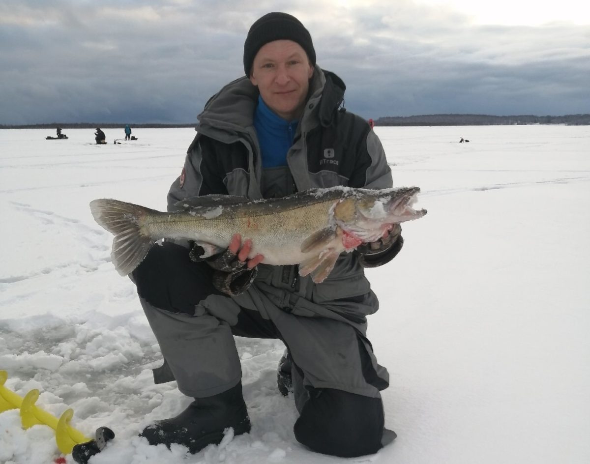    Судака вытащили с глубины 9 метров