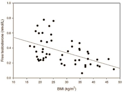 Чем больше ИМТ, тем ниже общий уровень тестостерона.