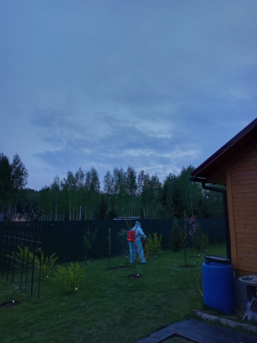 Вечерняя обработка. Фото из архива авторов.