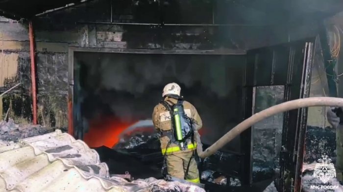 Кадр из видео ГУ МЧС по Новосибирской области.