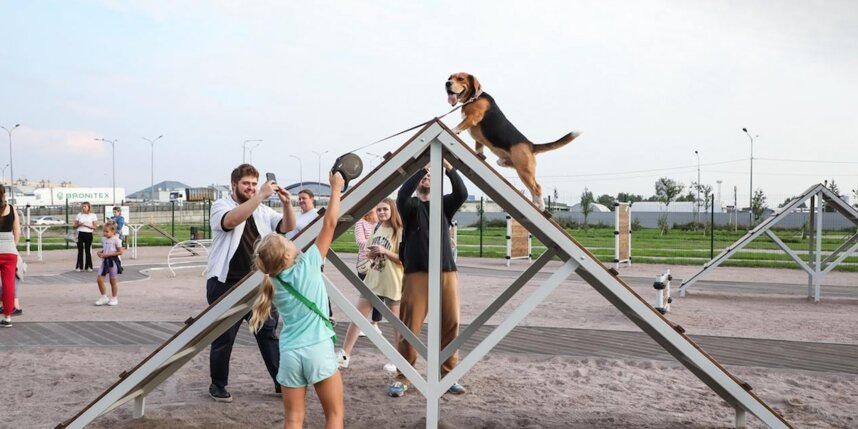    Площадка для выгула и дрессировки собак: Витебский проспект, 101gov.spb.ru