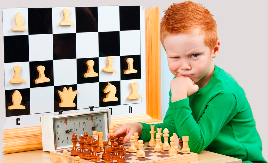 Количество обучающих ресурсов за последнее время стало намного больше