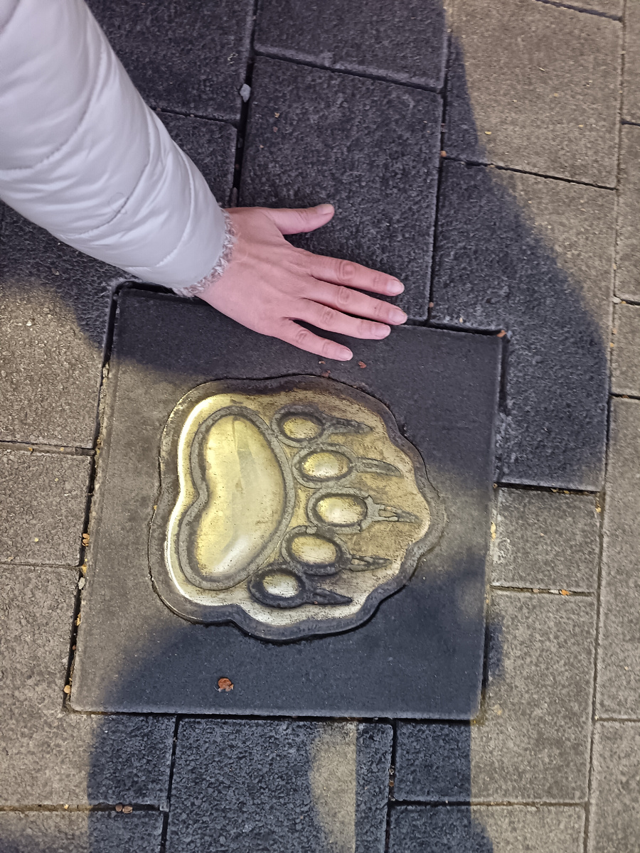 Это кто ходил?