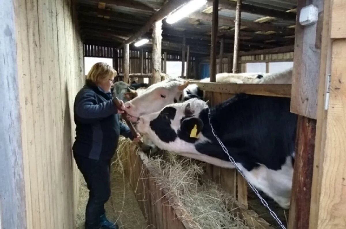    Что строго запрещается волгоградцам 16 января, чтобы не нажить бед