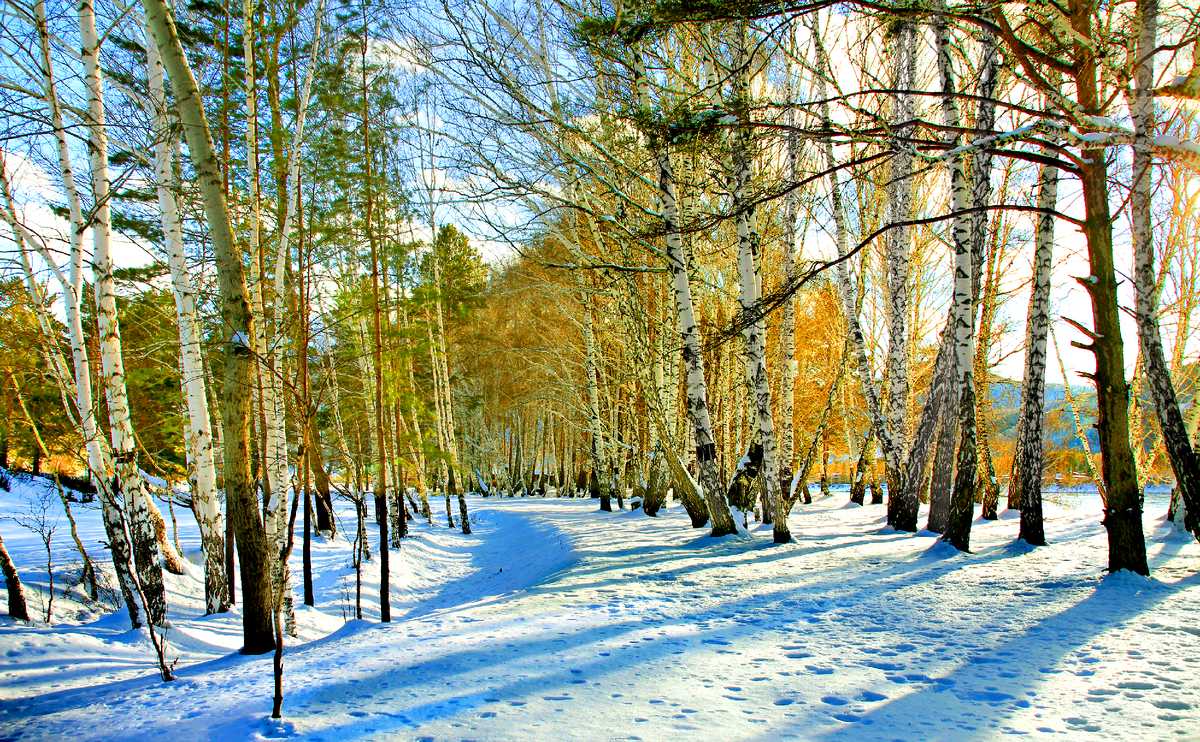 Фотография, стихотворение Василия Глуцкого