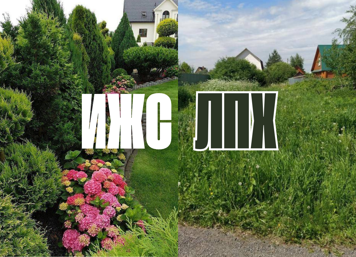 Разница между ИЖС и ЛПХ: что важно знать при выборе