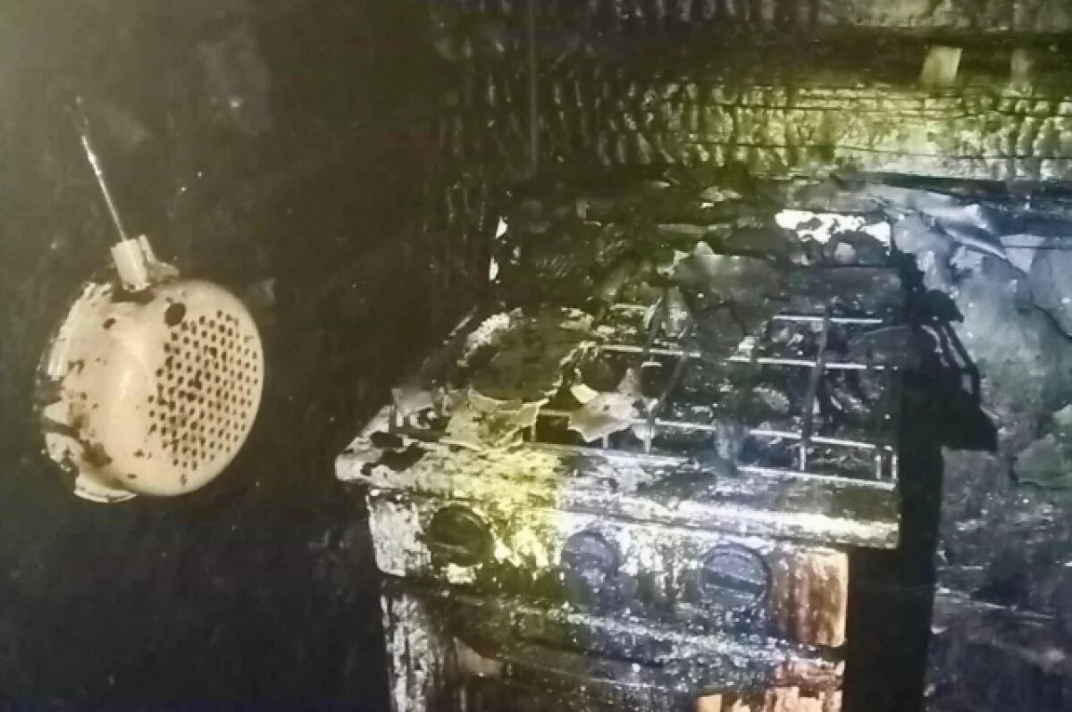    При пожаре в деревне в Ярославской области погибли отец и сын