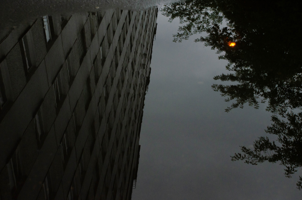 Фото: Иван Нечаев / JN PHOTOS