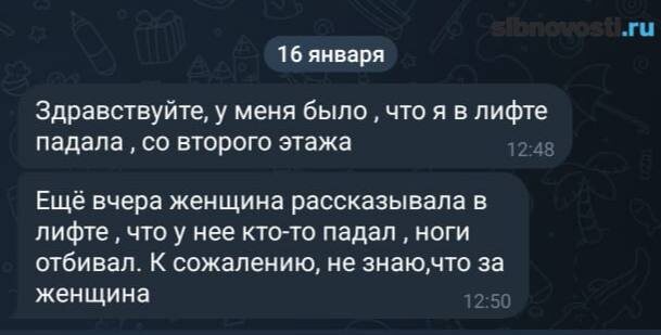    Скриншот: sibnovosti.ru