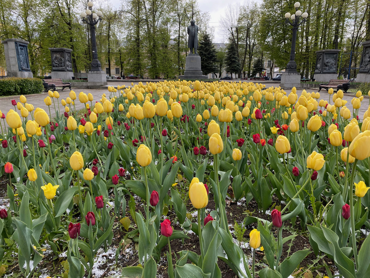 Сквер Крылова в Твери