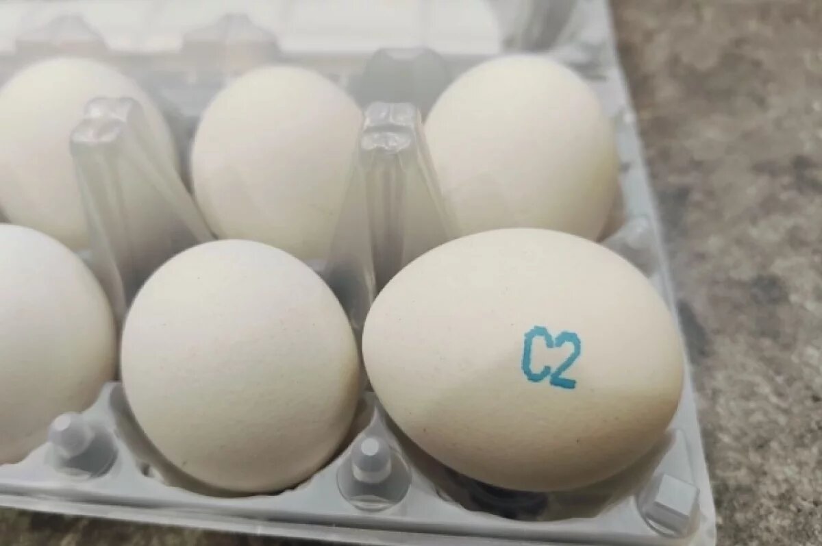    На Кубани цены на яйца упали на 16 % за год