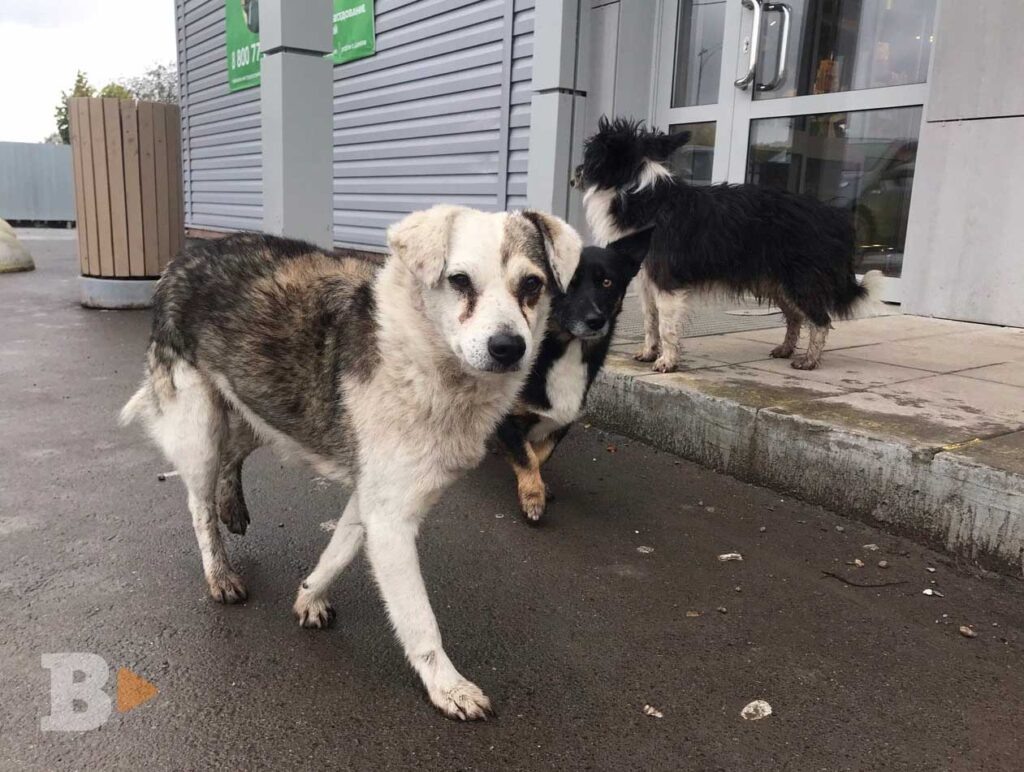    Фото: «В курсе.ру» Полина Анкушина