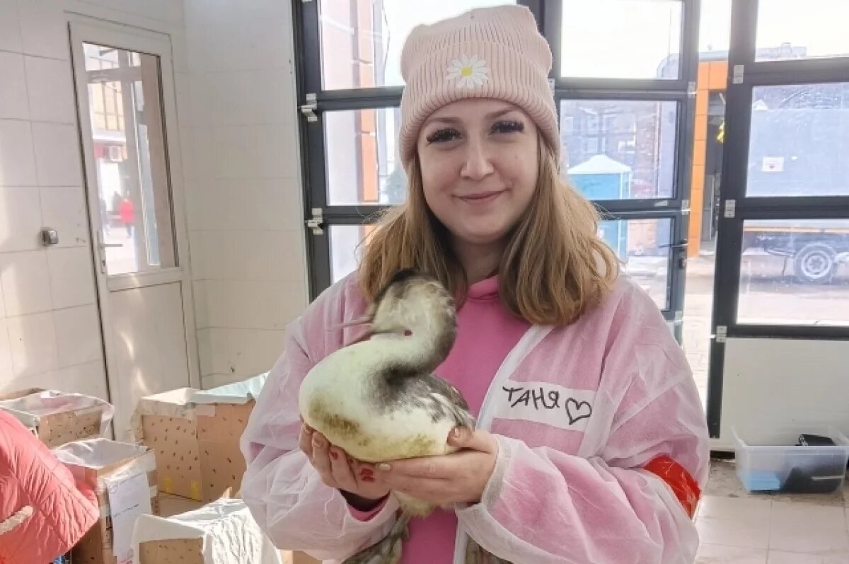    Общая боль.