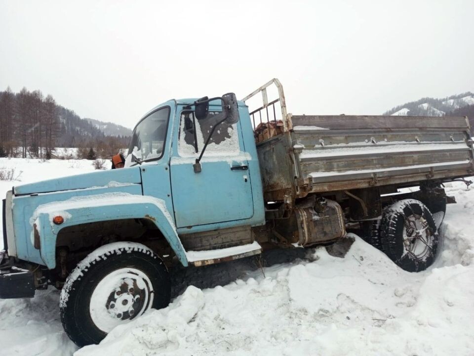    Незаконно заготовленная древесина. Источник: МВД по Республике Алтай