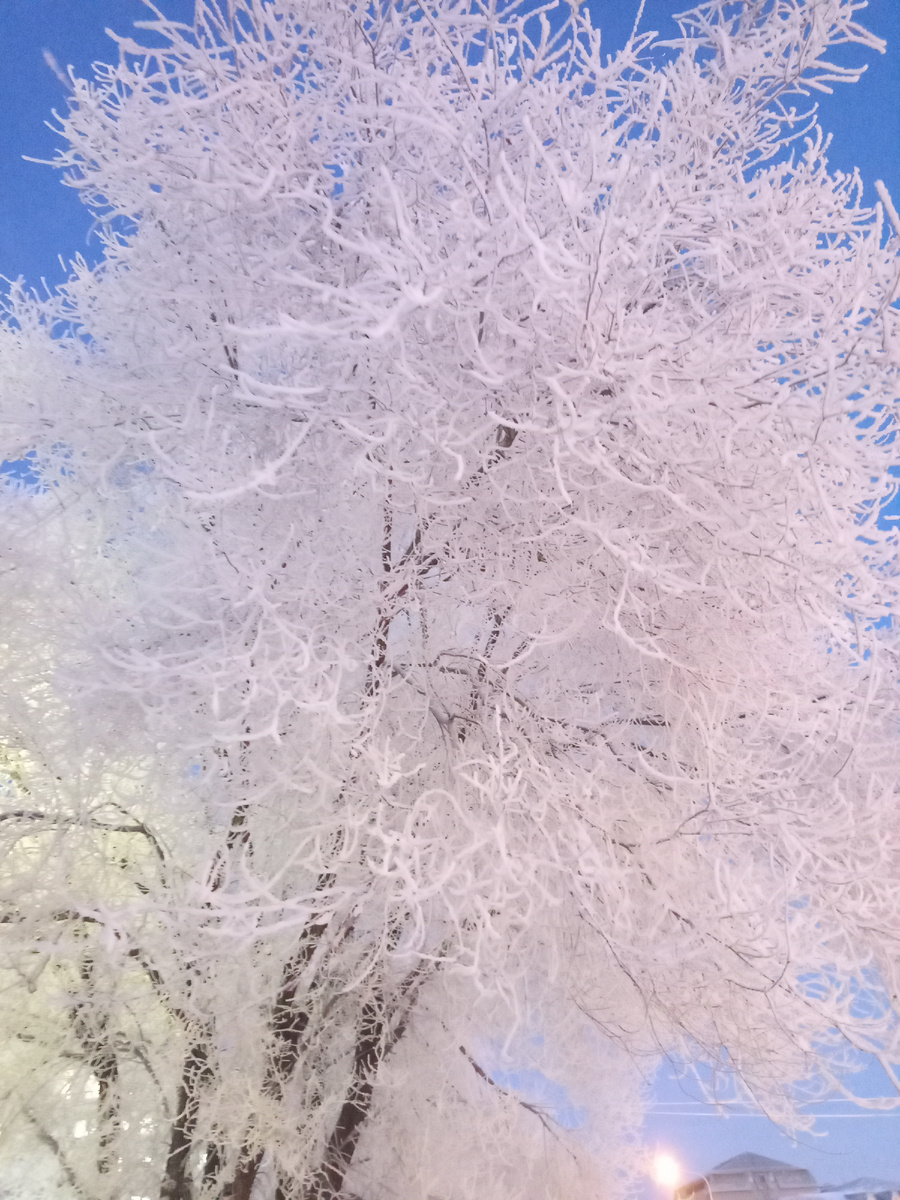 Из моего архива