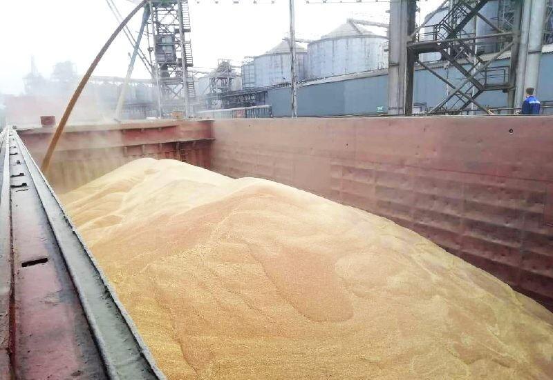 Фото: пресс-служба Ростовского филиала Центр оценки качества зерна