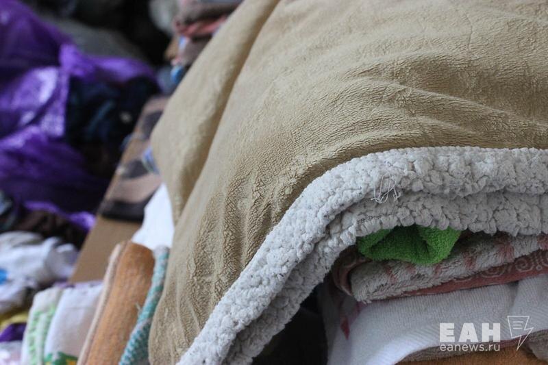    ЕАН / Мыши атаковали жителей многоквартирного дома в Нижнем Тагиле