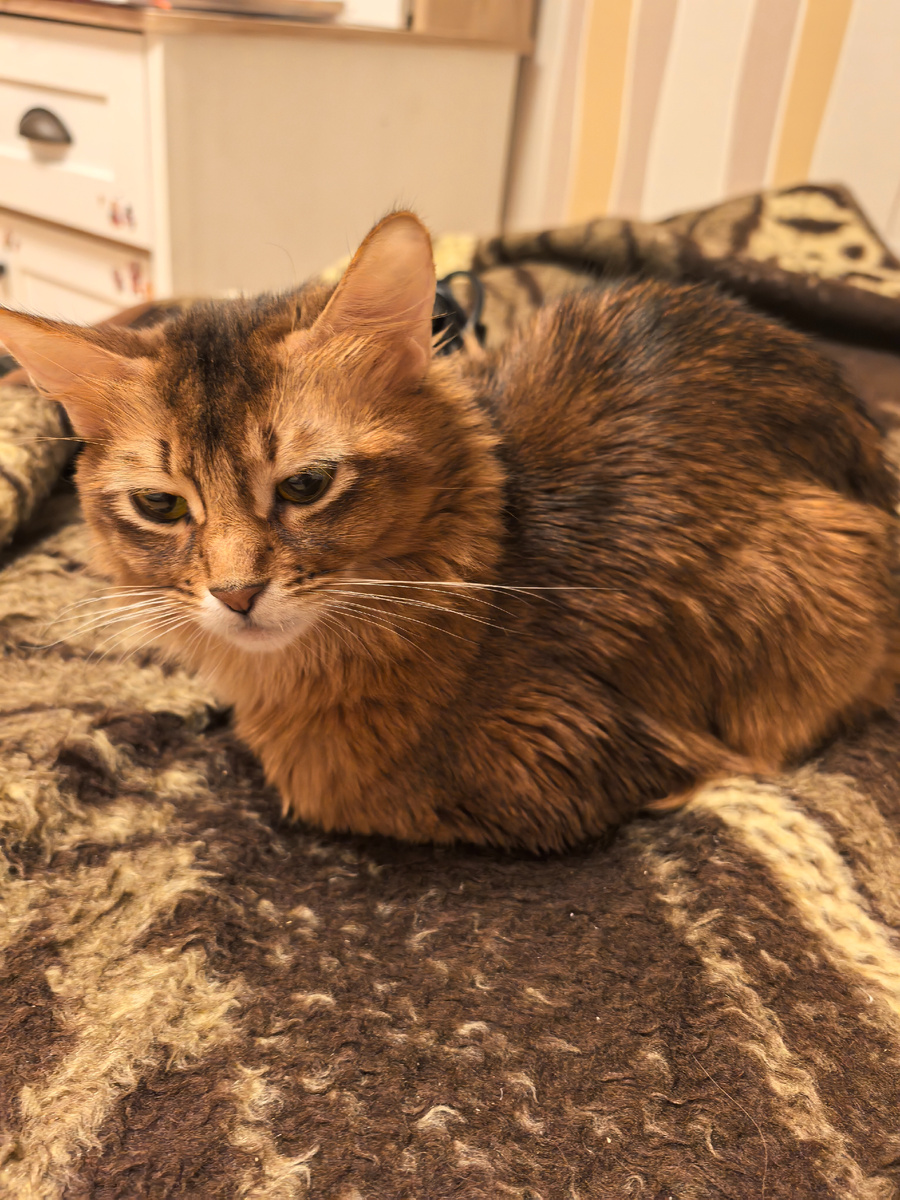 Фото автора. 