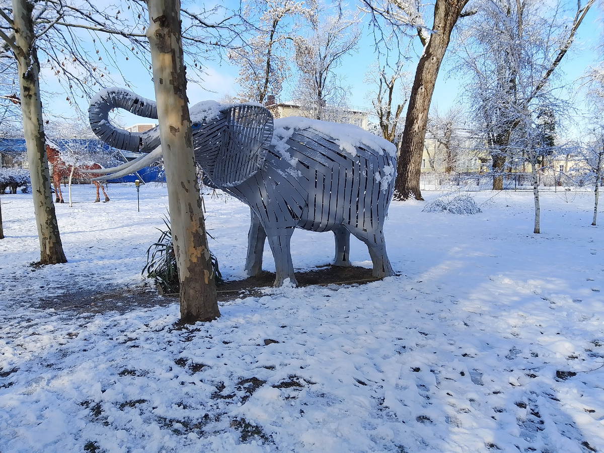 Фото личное авторское. Ст.Северская парк имени А.С. Пушкина.
