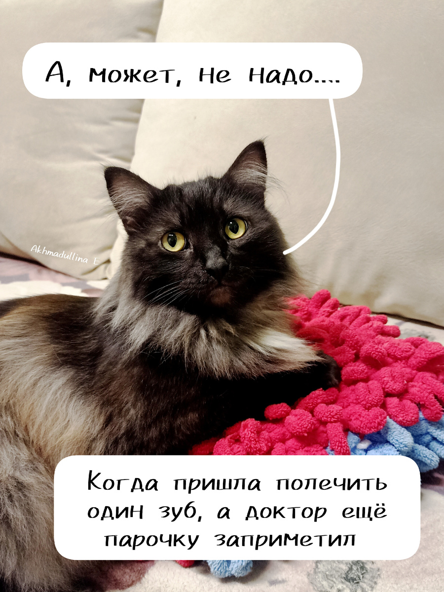 Ошпидяй, один бы пережить 