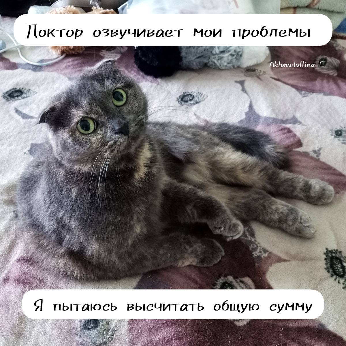 Я, которая уже наполнила корзину на ВБ 😄