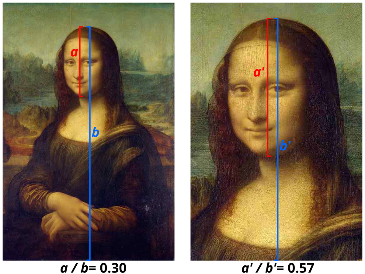 Иллюстрация расчета индекса фейсизма на двух фрагментах «Моны Лизы».
